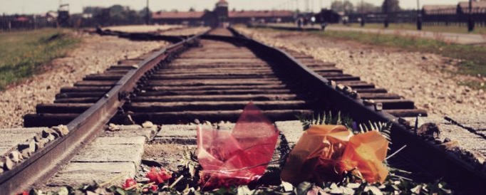 Auschwitz railroad flowers 685x275